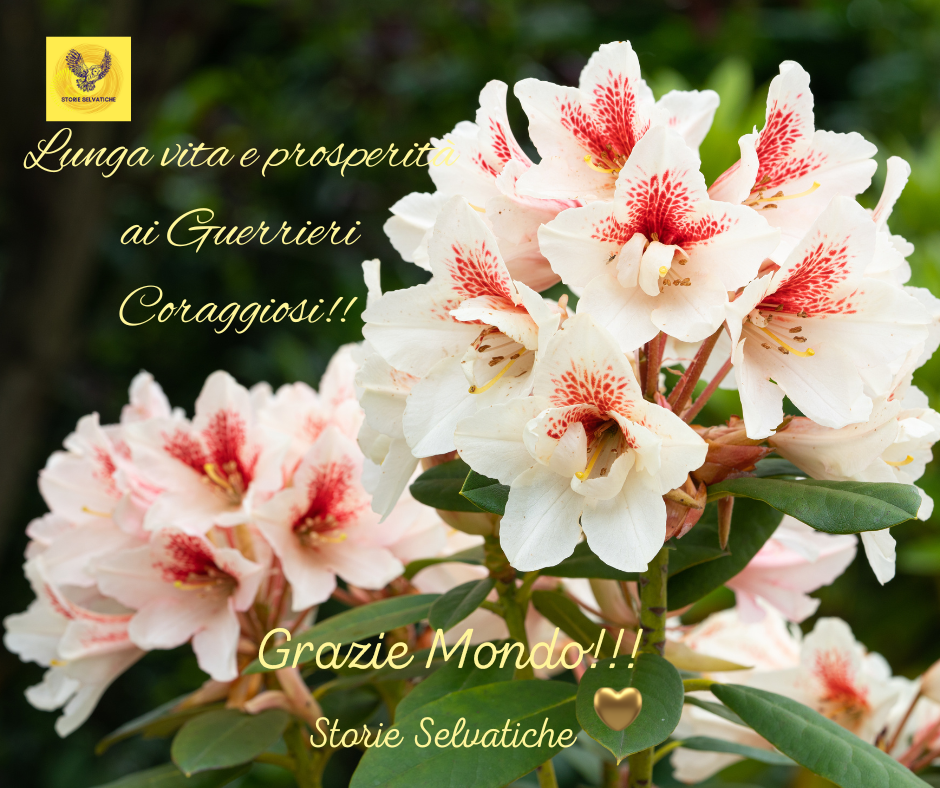 La ruota che gira, non gira a&nbsp;caso