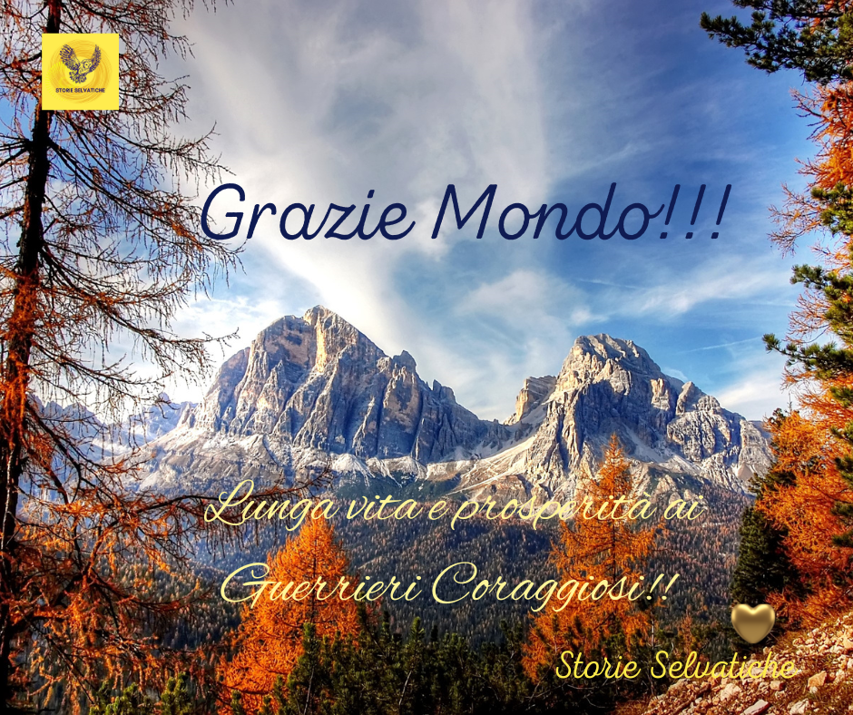 💙🌟💙🌟PUCCINI BOHEME