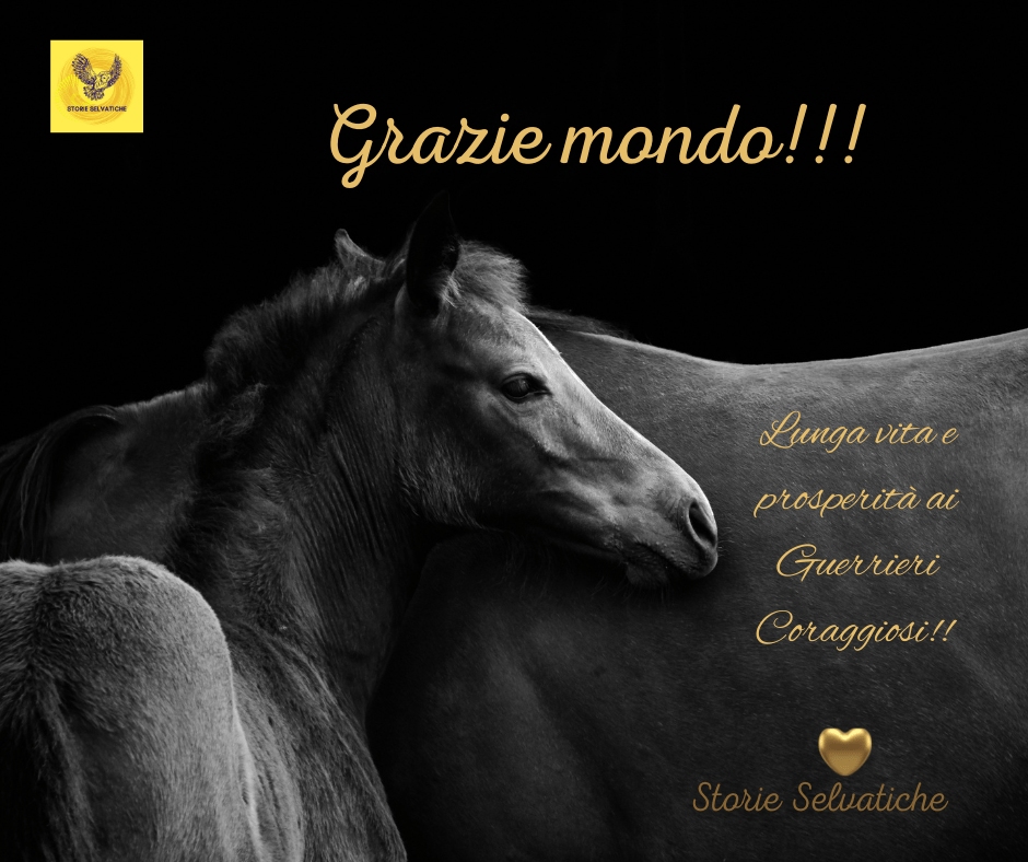 Give me one&nbsp;reason