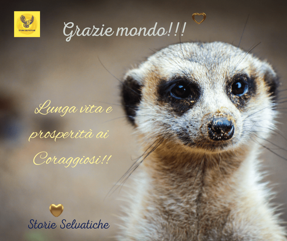 Will you still love me tomorrow&nbsp;I