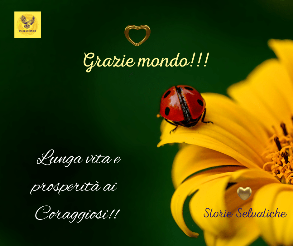 Lara Fabian –&nbsp;Adagio