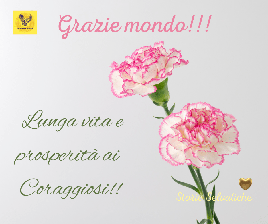 Lascia ch’io pianga