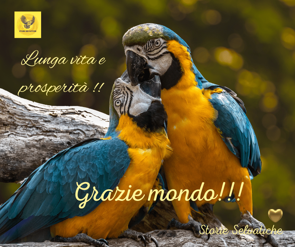 Requiem di un&nbsp;sogno