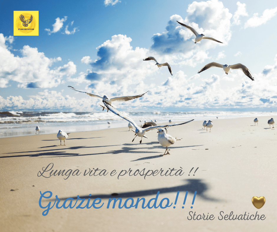 Il corto animato –&nbsp;L’impiego