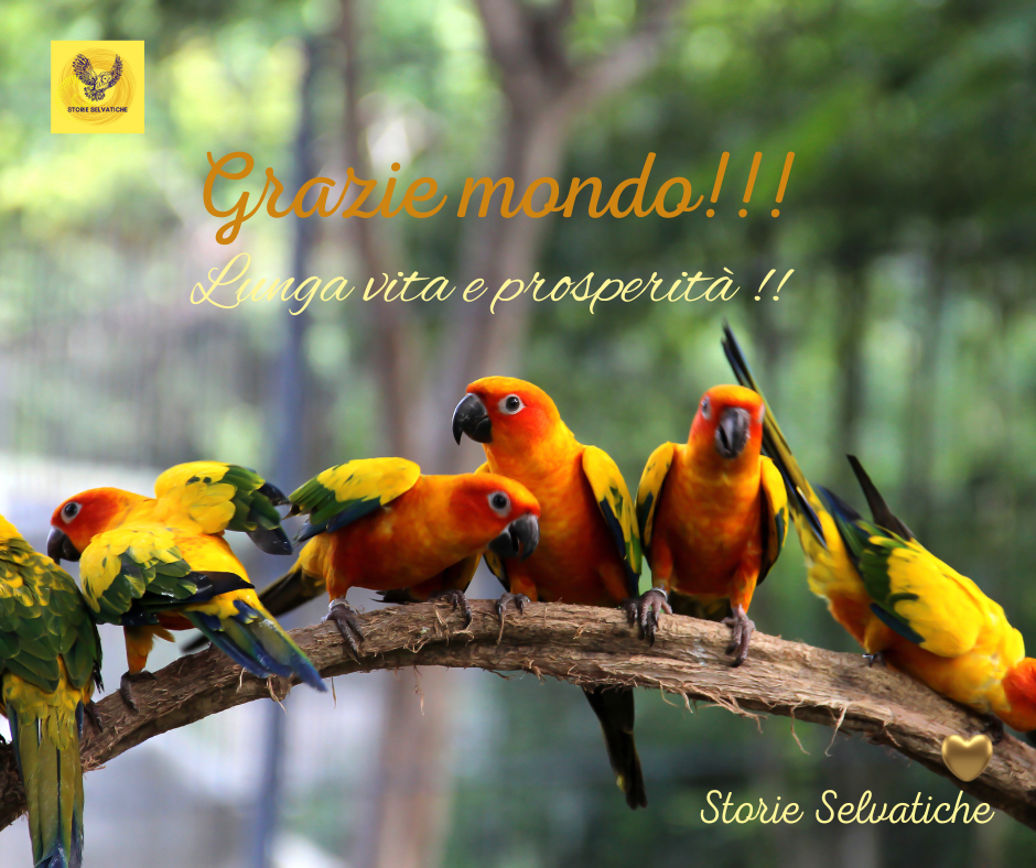 Jivan Gasparyan – They Took My Love&nbsp;Away