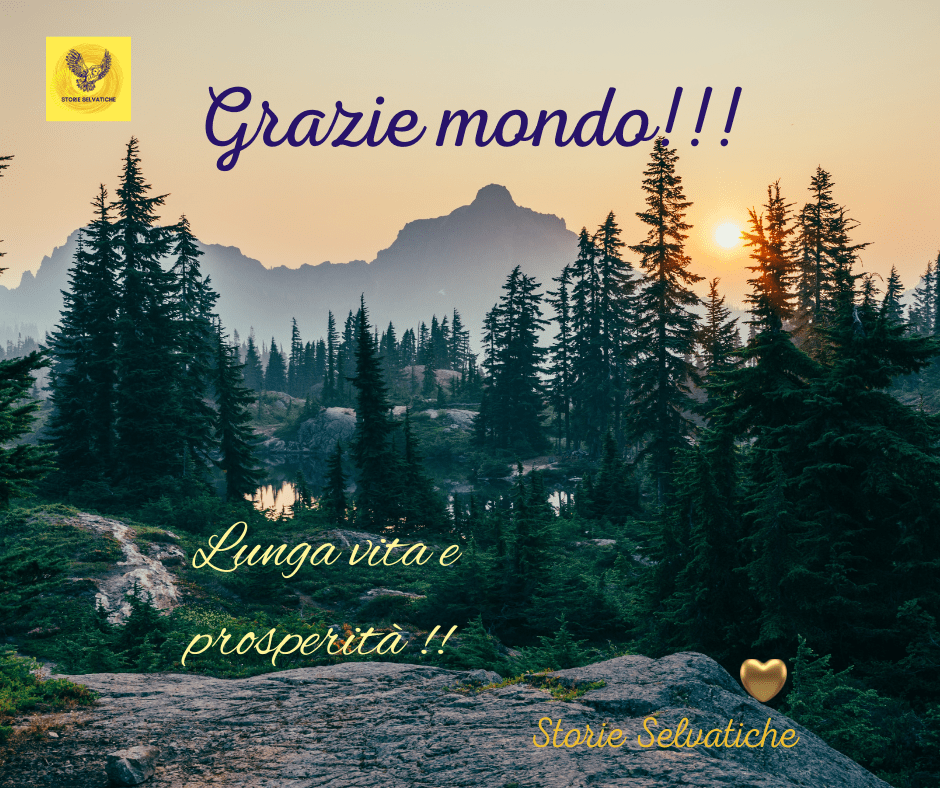 Gianni Pettenati – Bandiera Gialla –&nbsp;1967