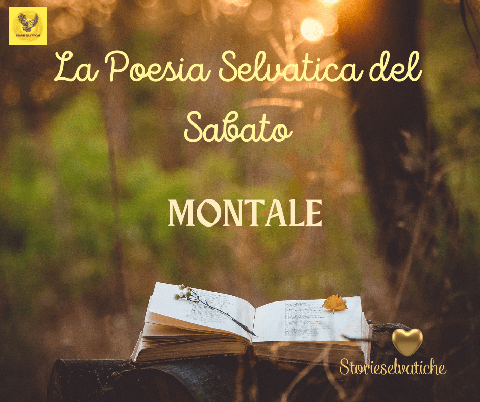 “Il poeta è chi coglie la palla al balzo…” Eugenio&nbsp;Montale