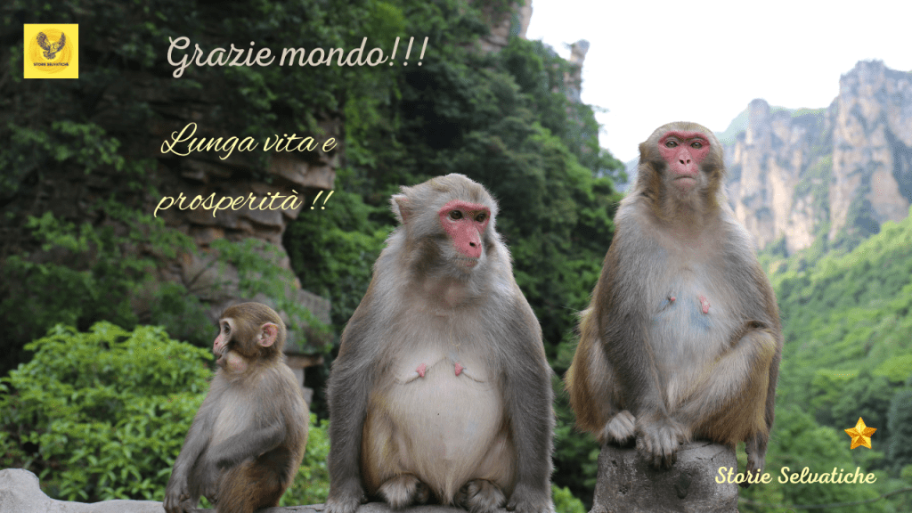 SOME OTHER TIME – BILL&nbsp;EVANS