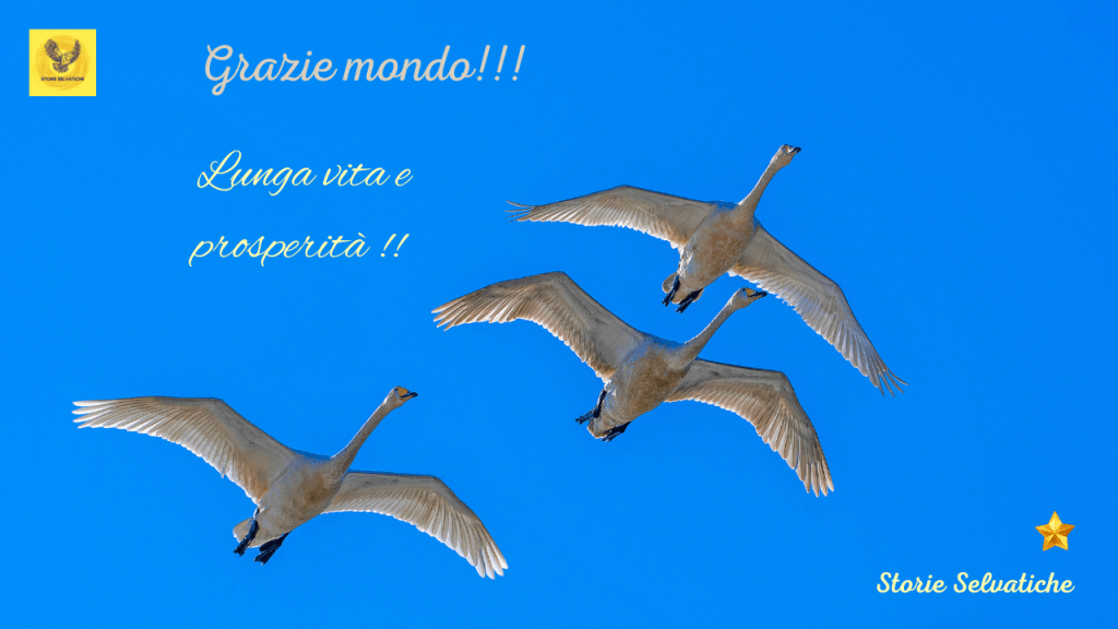 Pink Floyd – Welcome to the Machine&nbsp;(1975)