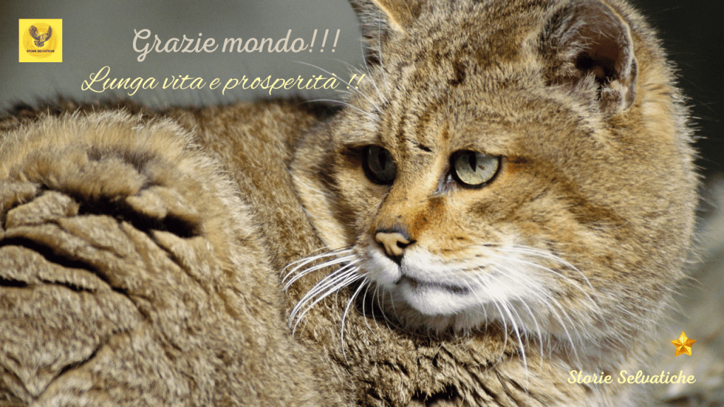 AUTUMN LEAVES 💚🌻💛