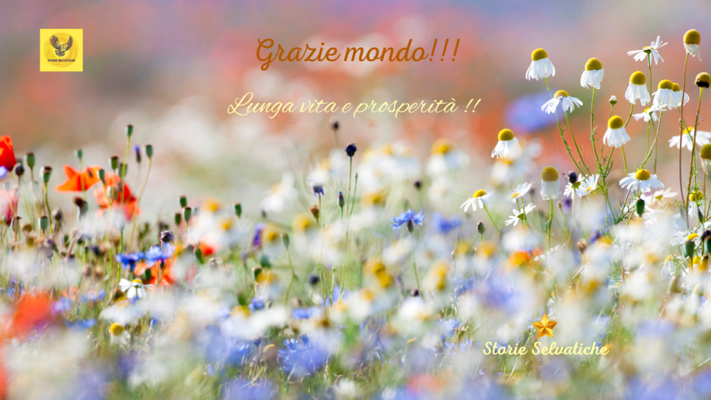 JEALOUS GUY – BRYAN&nbsp;FERRY