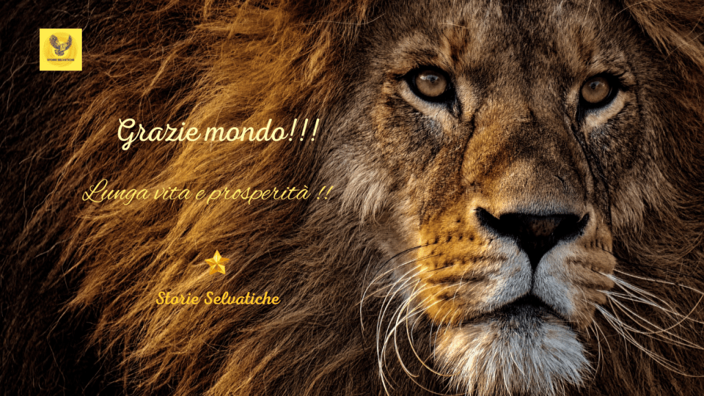 LAYLA💚💚💚💚