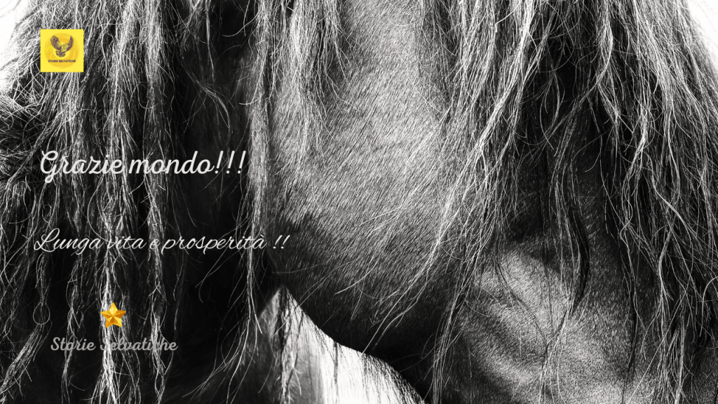 A HORSE WITH NO&nbsp;NAME