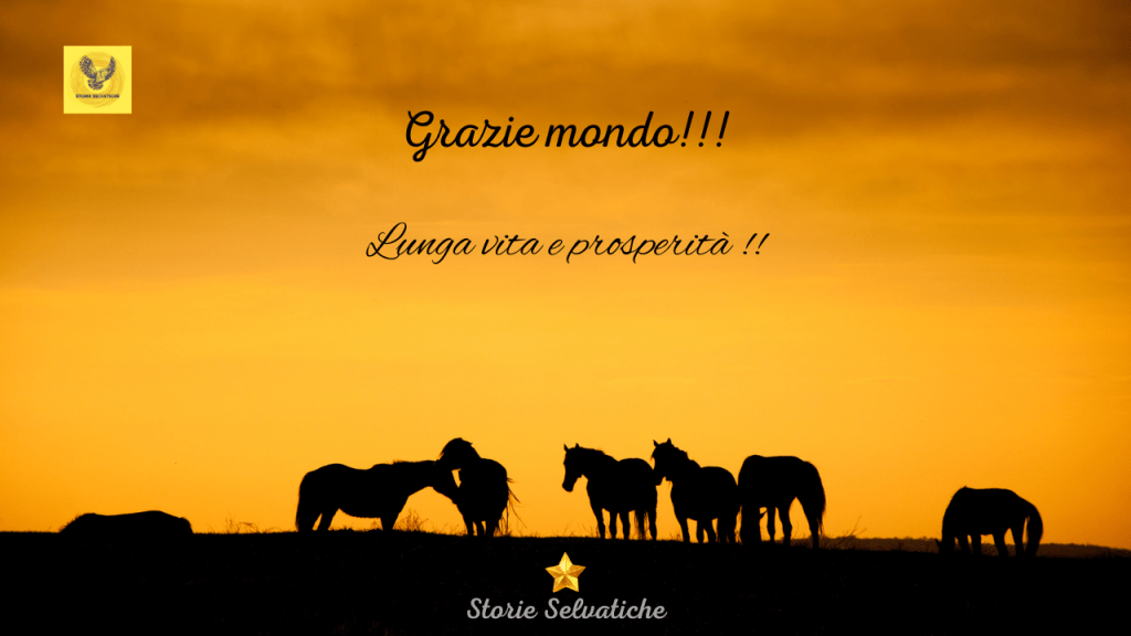 Small Faces – Itchycoo Park&nbsp;(1967)