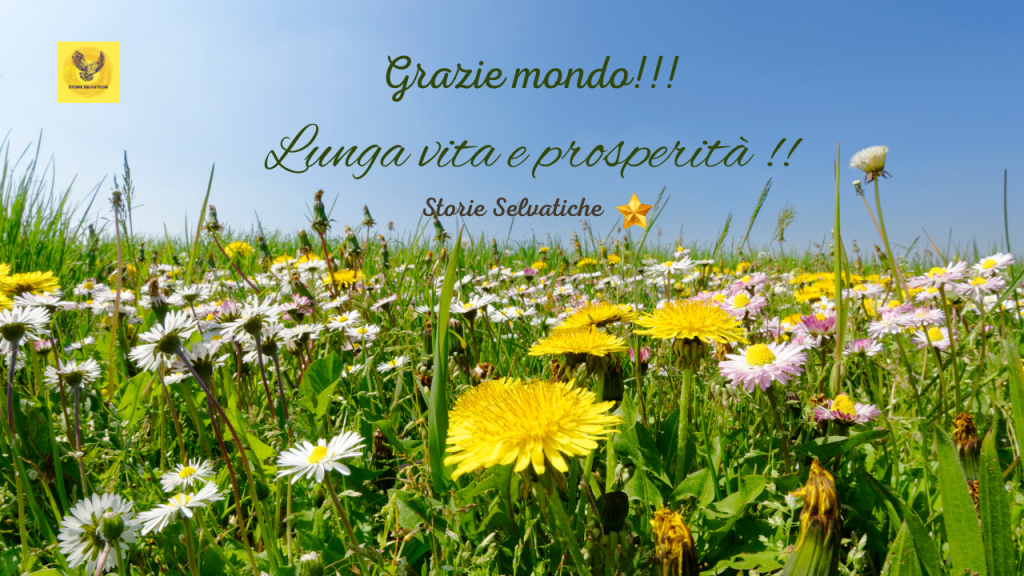 I TRY – MACY&nbsp;GRAY🌻💛💚