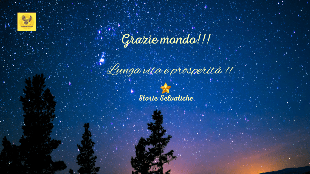 NESSUN DORMA – ARETHA&nbsp;FRANKLIN