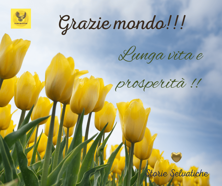 Amii Stewart – Knock On&nbsp;Wood