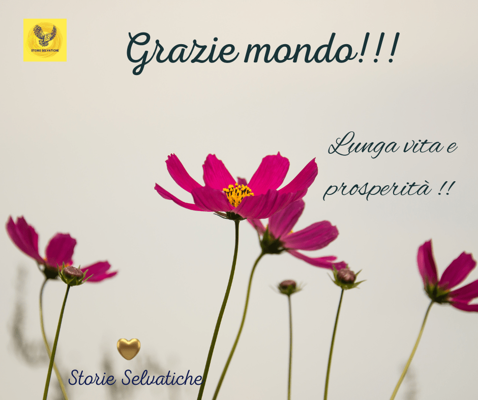 Kylie Minogue – Can’t Get You Out Of My&nbsp;Head