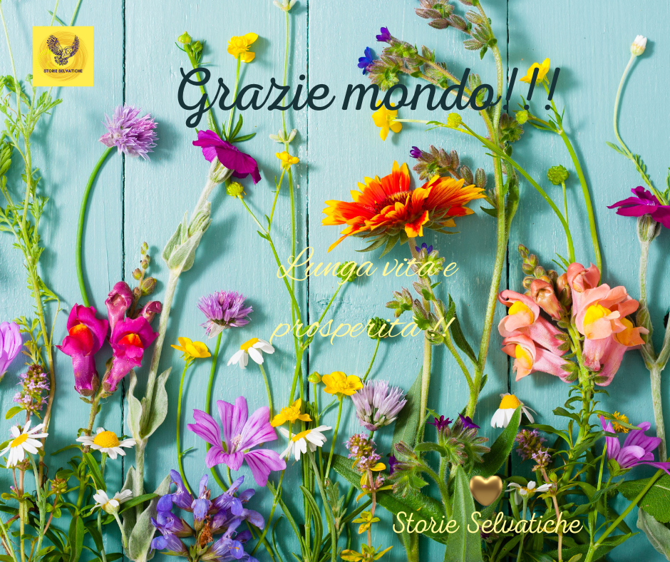 L’Artista – Filippo Dobrilla – lo scultore&nbsp;selvatico