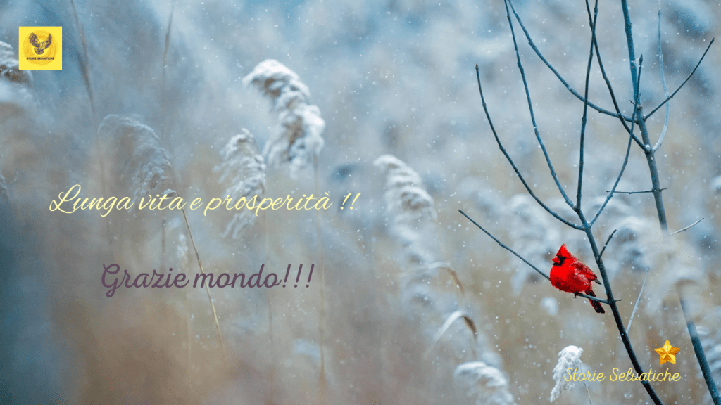 La Gazza ladra – Gioacchino&nbsp;Rossini