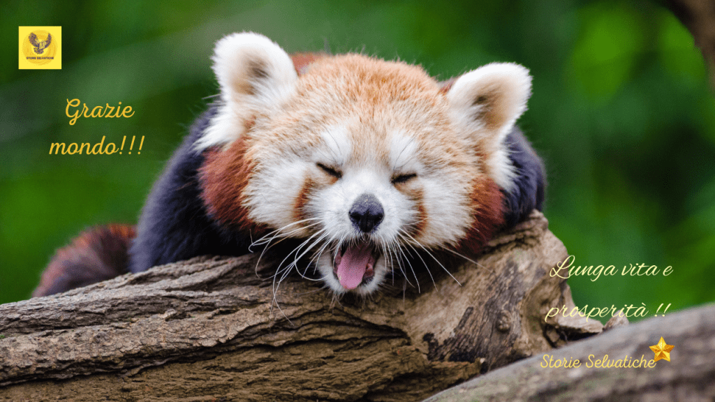 Metti una sera a cena&nbsp;-Morricone