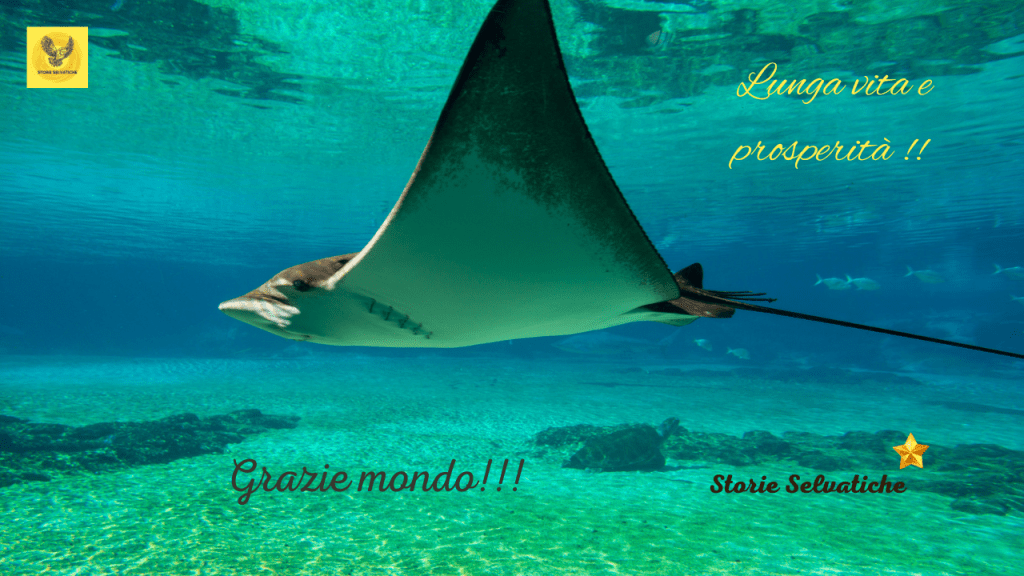 Una storia di mostri&nbsp;marini