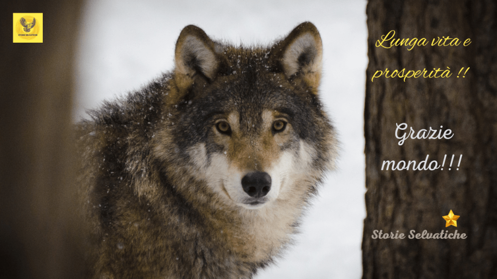La rinuncia peggiore che un Essere Umano possa&nbsp;fare