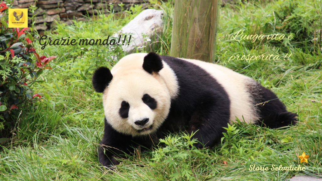 James Brown – Papa’s Got A Brand New Bag&nbsp;(1965)