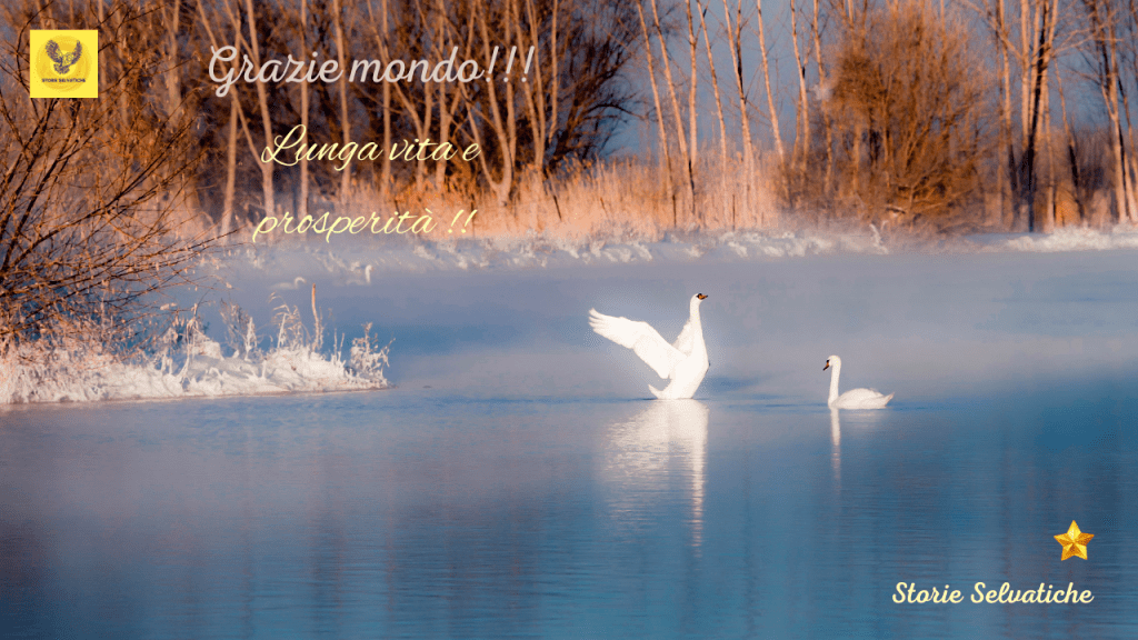 You Are The Sunshine of My Life – Stevie&nbsp;Wonder