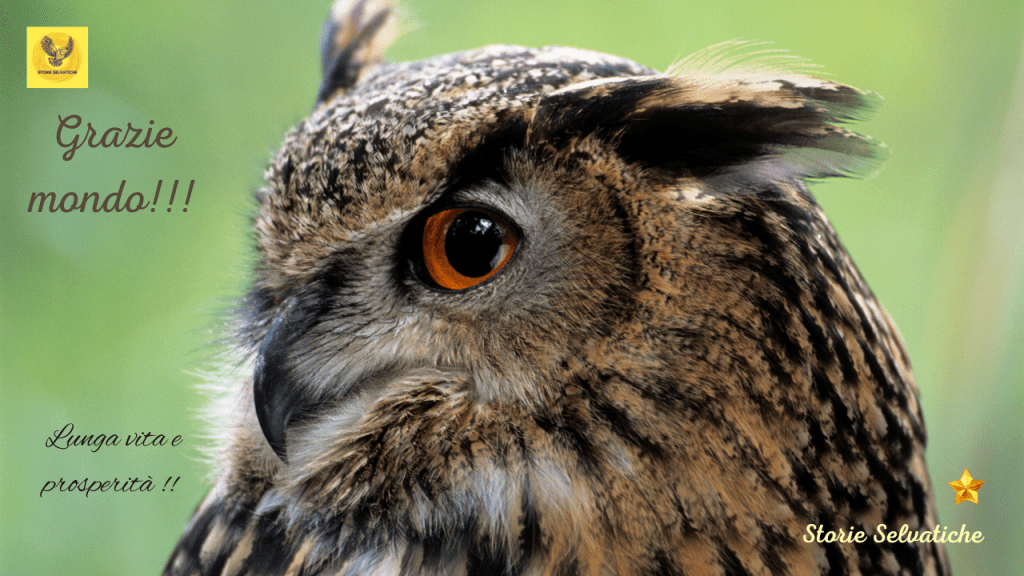 SUMMERTIME – Norah&nbsp;Jones