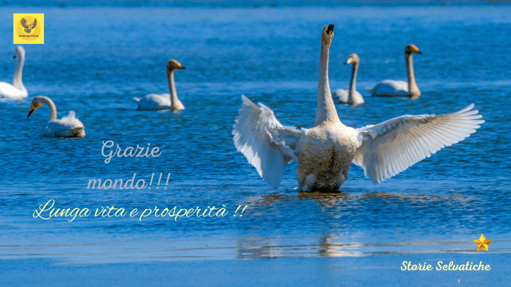 SE IO FOSSI DIO – G.&nbsp;GABER