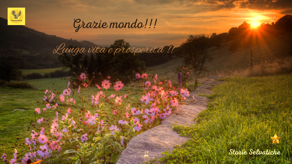 Il mito💚💛Jimi Hendrix