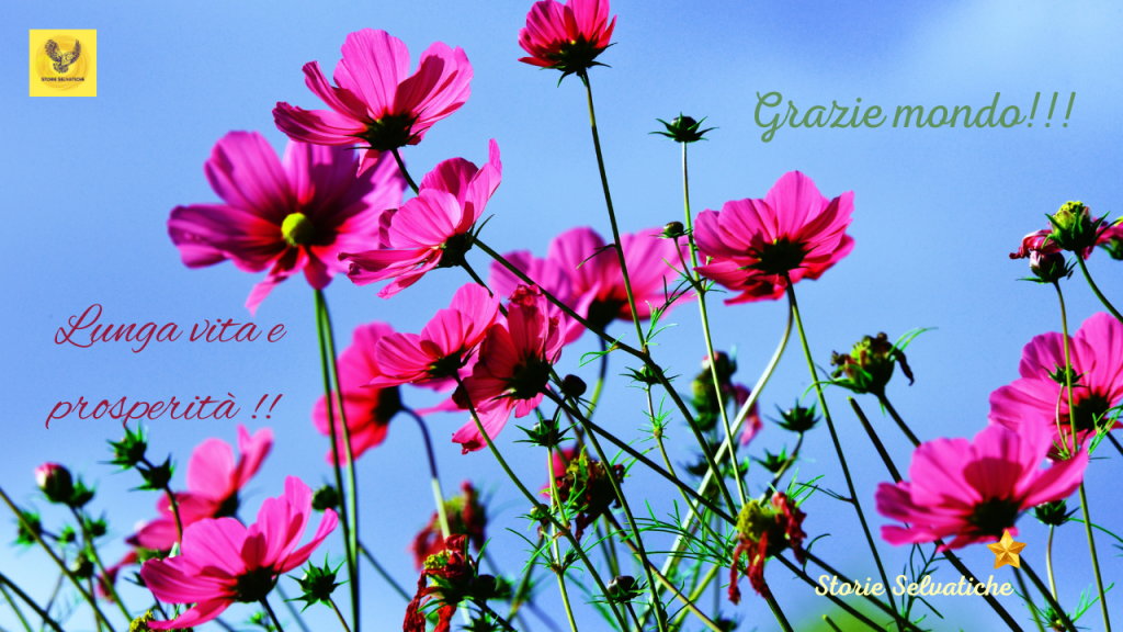 bob dylan & johnny cash – one too many&nbsp;mornings