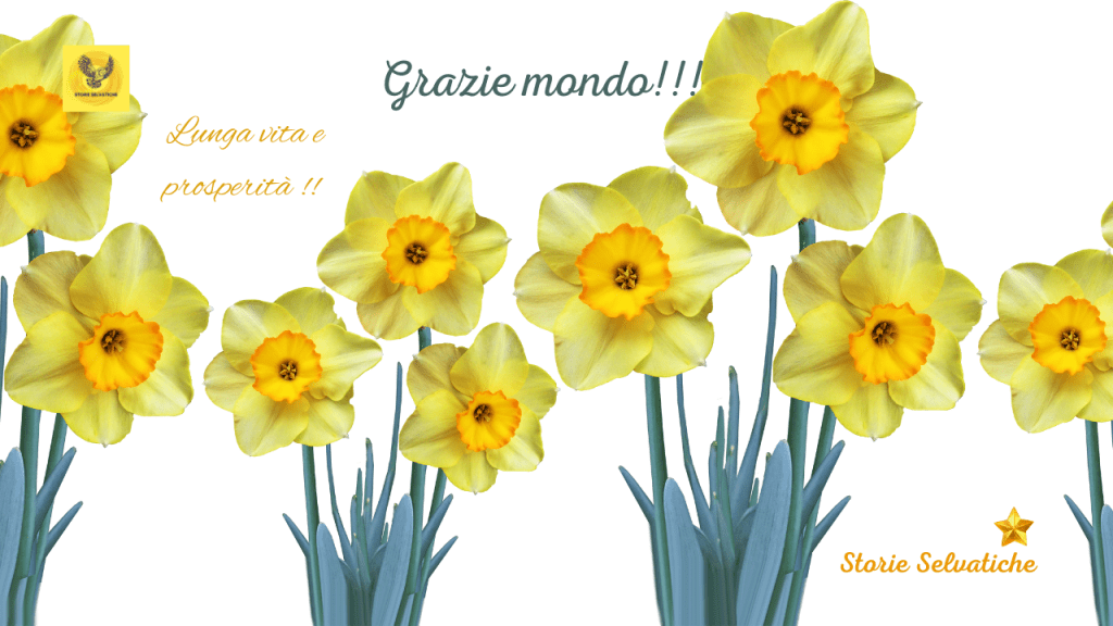 Ana Vidovic (guitar) plays&nbsp;Piazzolla