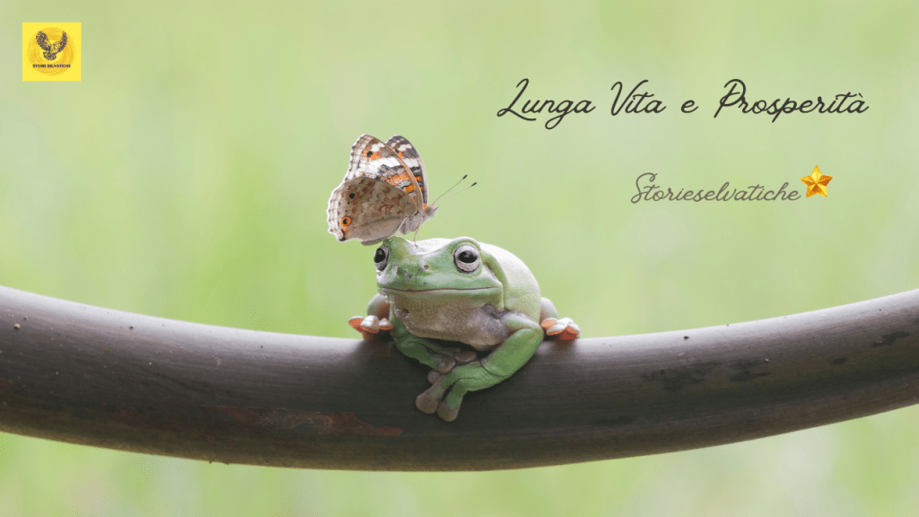 Titanic – De&nbsp;Gregori