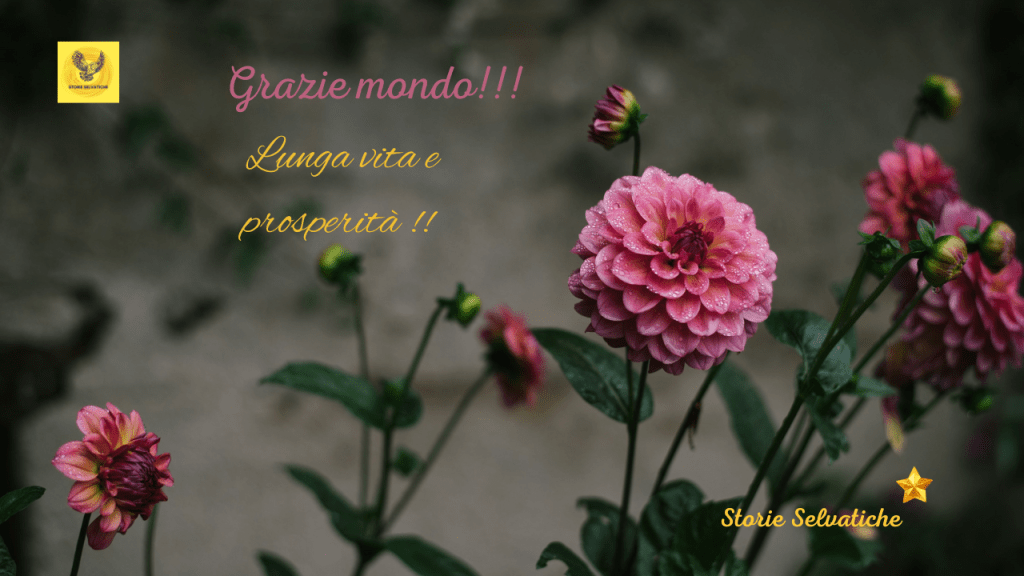 Mina e Seal – You get me&nbsp;(2010)