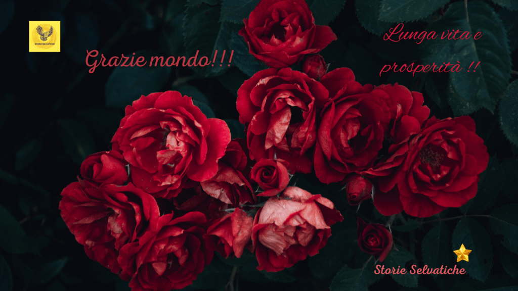 Procol Harum – A Whiter Shade of Pale&nbsp;(2006)