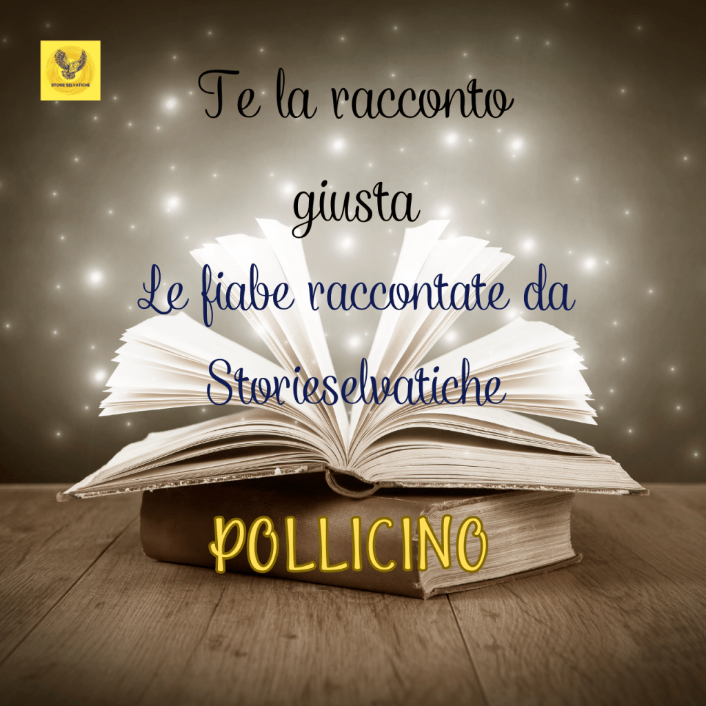 POLLICINO – La&nbsp;Fiaba