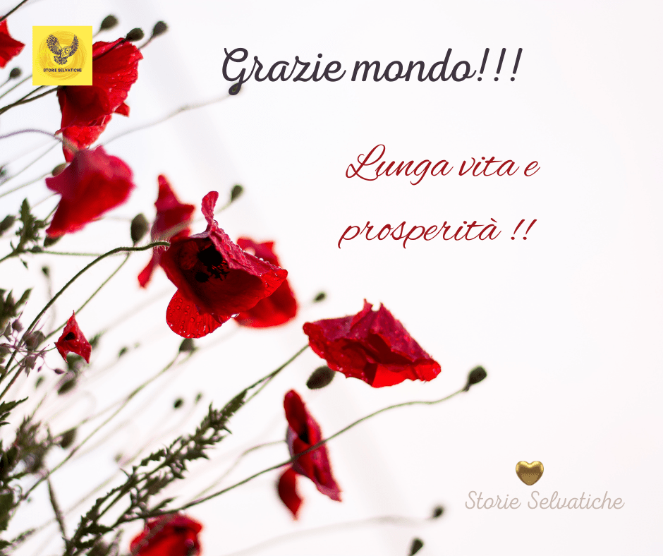 L’ultimo acquisto dell’anno