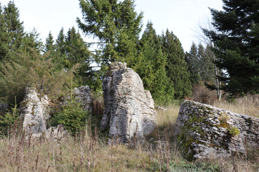 Sotto i castagni a cercare il senso della&nbsp;vita