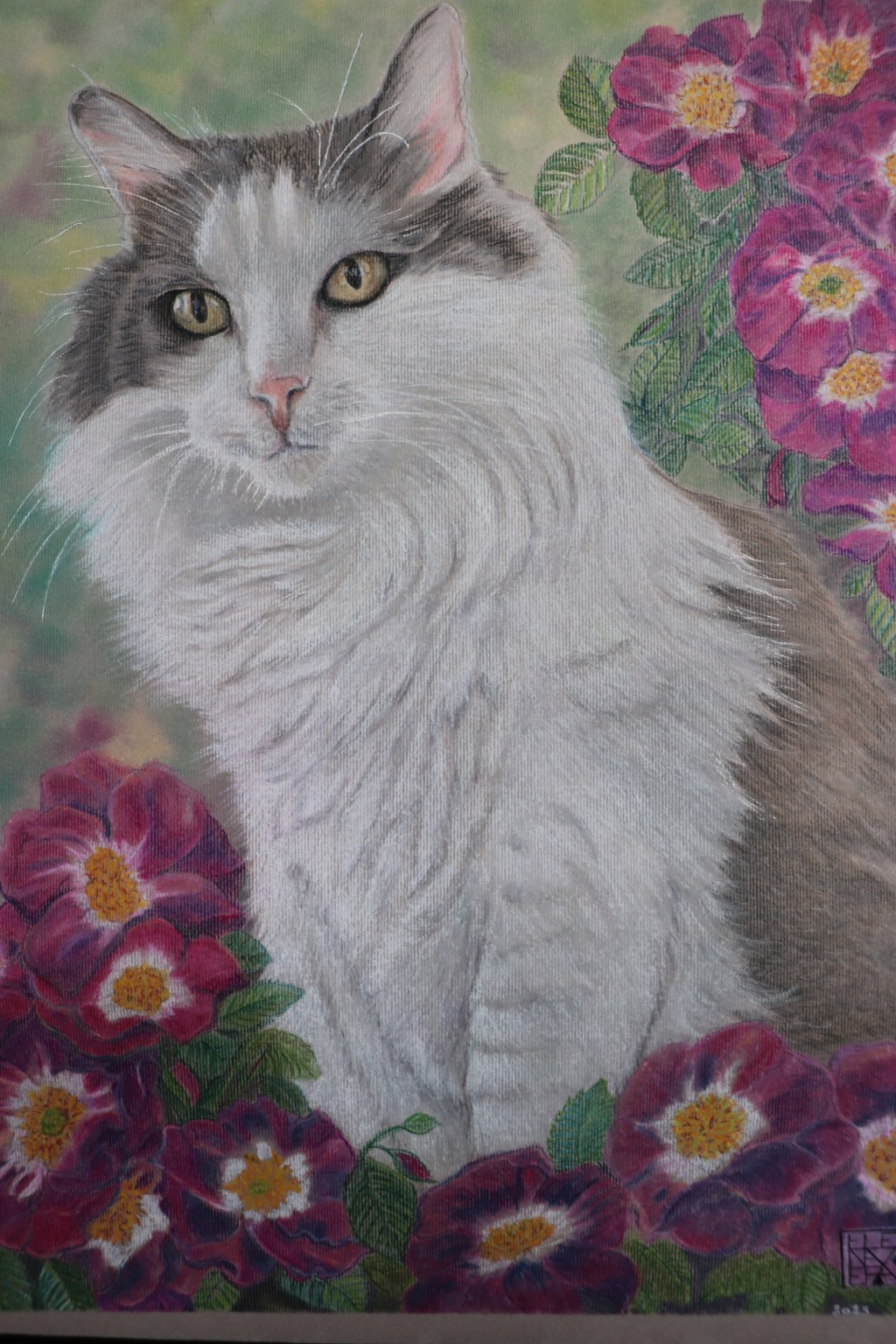 Lei è Ester, il gatto&nbsp;giramondo