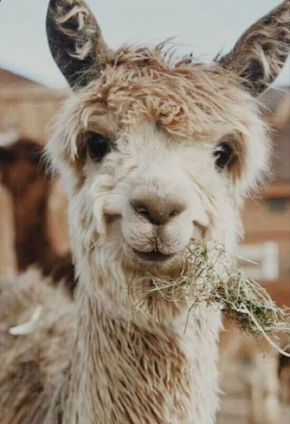 Sorridi; stai solo&nbsp;giocando