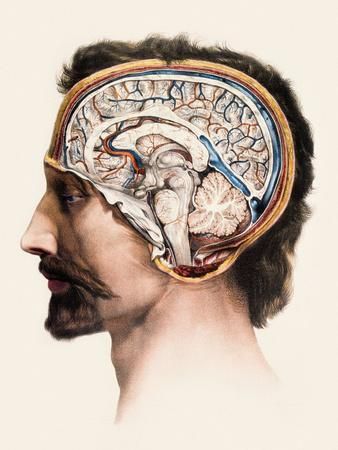 Un articolo di un anno fa…&nbsp;😉🖖🖖