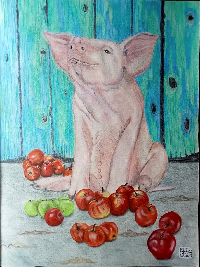 Rosetta e le&nbsp;mele